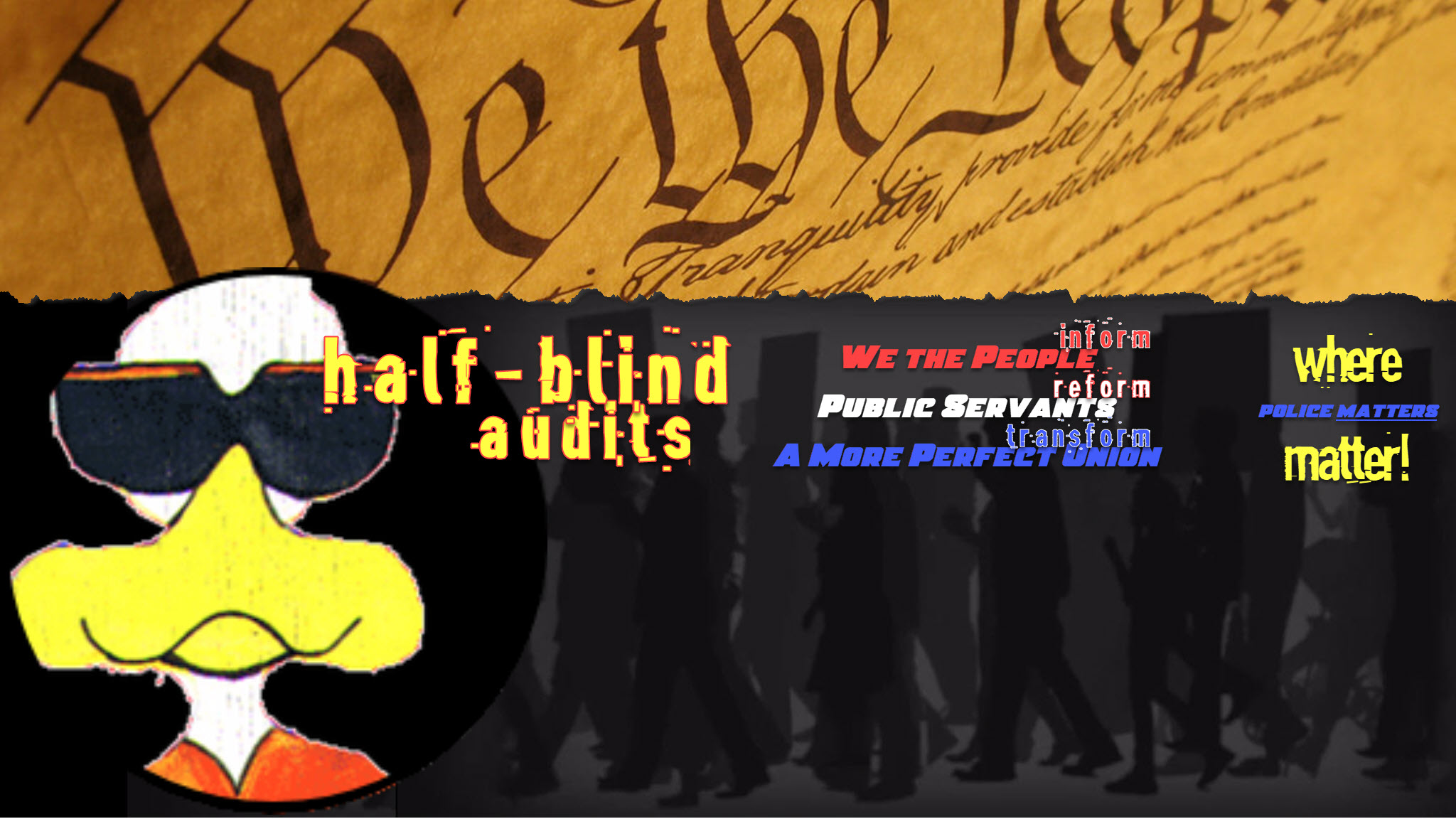 Half-Blind Audits